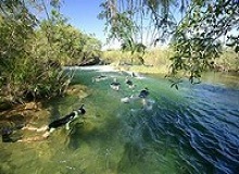 Flutuação no Parque Ecologico